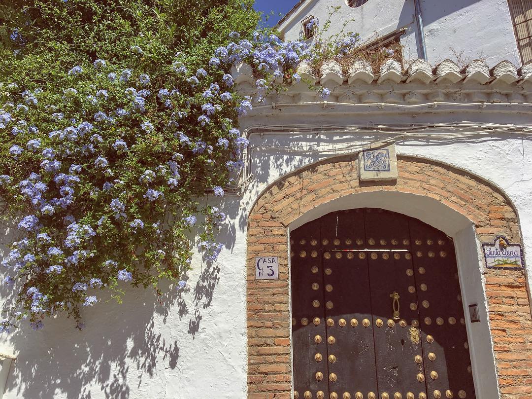 “It feels good to be lost in the right direction” (anon) ✨
.
Who else is loving this spring weather? Don’t forget to stop and smell the flowers this week 🌺🌼🌸 One of my favorite places to get lost while studying abroad in Granada, Spain was through the Albaicín. So full of color and has an amazing view of the whole city ✨
.
.
.
#spring #springbreak #springflowers #spaintravel #andalucia #albayzin #albaicin #granada #spain #europe #historicaldistrict #travelinspiration #explore #travelquotes #lost #lostintherightdirection #ginger #blogger #newblog #travelblog #travelcommunity #traveltribe #womenwhotravel #studyabroad