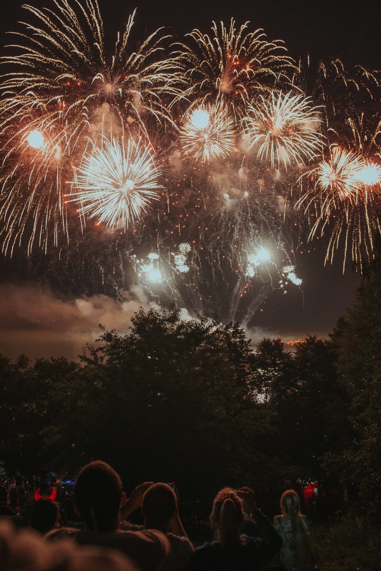 multiple fireworks above trees as people watch below